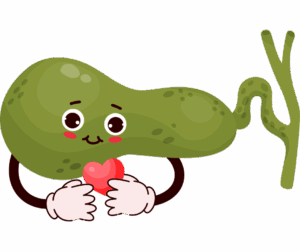 Vesicula biliar sana