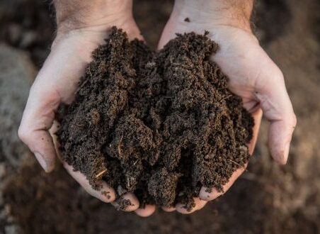 ¿Qué es el lodo biliar?